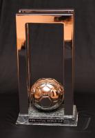 Fussball International FIFA FUTSAL WM 2008