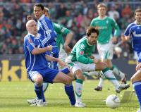 Fussball 1. Bundesliga: Bremen - Schalke