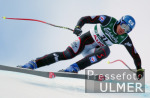 SKI  WM 2003  St.Moritz Abfahrt Herren