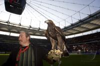 Fussball 1. Bundesliga: Eintracht Frankfurt - Werder Bremen