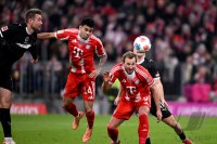 Fussball 1. Bundesliga  Saison  2025/2026  12. Spieltag 
FC Bayern Muenchen - FC St. Pauli