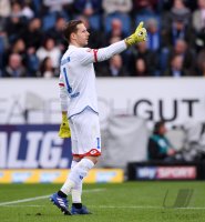 Fussball 1. Bundesliga Saison 2016/2017: TSG 1899 Hoffenheim - FC Ingolstadt