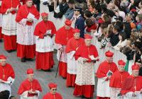 Vatikan; Tod von Papst Johannes Paul II, Kardianl Walter Kasper