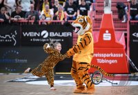 Basketball 2. Bundesliga 24/25 Walter Tigers Tuebingen - VET-CONCEPT Gladiators Trier