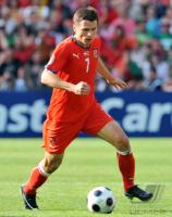 FUSSBALL EURO 2008: Tschechien, Sionko