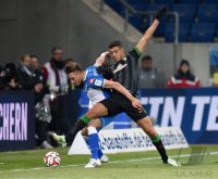 Fussball  1. Bundesliga  14/15: TSG 1899 Hoffenheim - SV Werder Bremen