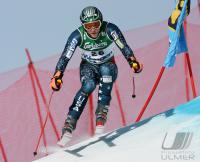 Ski Alpin  Herren Abfahrt Wengen