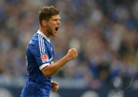 Fussball Saison 1. Bundesliga  Saison 2013/2014: Schalke - Hamburg