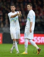 Fussball International WM Quali 2014: Milivoje Novakovic (Slowenien)