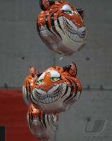 Bsaketball 1. Bundesliga Walter Tigers Tuebingen 57-66 Artland Dragons  