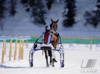 White Turf  St. Moritz 2010