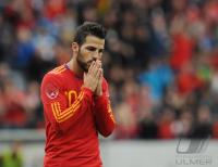 Fussball International:  Spanien - Suedkorea