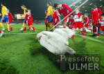 Fussball 2. Bundesliga: Oberhausen - Karlsruhe, Maskottchen Luzy
