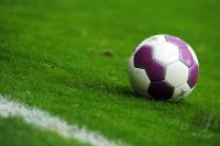 FUSSBALL, 1. BUNDESLIGA, 30. Spieltag: Symbolbild