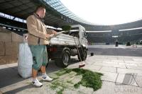 Fussball WM 2006: Finale, 24 Std. Reportage