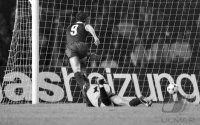 Fussball International: Champions League, Saison 1988/1989: Berliner FC Dynamo - SV Werder Bremen