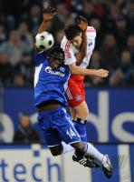 FUSSBALL 1. BUNDESLIGA: Hamburg - Schalke