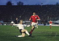 Fussball  WM Qualifikation 1982: Rummenigge, Pezzey