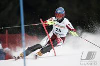 Ski Alpin, Slalom Herren in Wengen