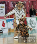 Basketball  1. Bundesliga  Walter Tigers Tbingen  - Alba Berlin