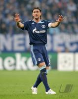 Fussball, Champions League: Schalke, BORDON