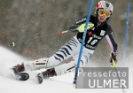 Ski Alpin; Riesenslalom Aspen Damen