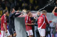 Fussball WM  2010  Qualifikation:  Daenemark - Schweden