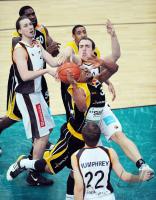 Basketball  1. Bundesliga 2008/2009   Walter Tigers -  ratiopharm Ulm