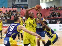 Basketball 2. Bundesliga  19/20: Tigers Tuebingen - Phoenix Hagen