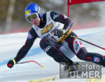 SKI   Weltcup  Abfahrt Herren ; Andreas Buder (AUT)