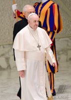 Rom Generalaudienz Papst Franziskus I.