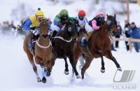 Pferdesport:  White Turf  St. Moritz 2014  Flachrennen
