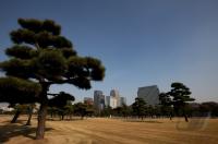 Fussball International  Club WM  Skyline von Marunouchi