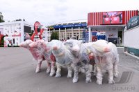 FUSSBALL WM 2018 Vorschau Eroeffnungsspiel: Luschniki Stadion Moaskau