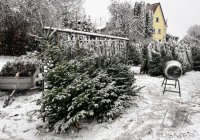 Schmuckbild, Wetterbild: Weihnachtstbaumverkauf in Rottenburg - Weiler