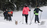 Schmuckbild, Wintersport, Skilanglauf auf dem Kniebis in Baiersbronn