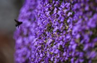 Stadtansicht Horb, Treppen, Perspektive