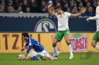 Fussball, 1. Bundesliga  Saison 2014/2015: FC Schalke 04 - SV Werder Bremen