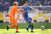 Fussball, 1. Bundesliga: Schalke - Cottbus