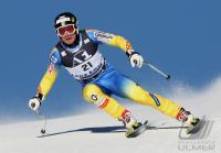 Ski Alpin; Abfahrt  Herren Lake Louise CAN