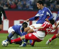 Fussball 1. BundesligaSchalke 04 1-0 FSV Mainz 05