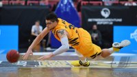 Basketball 1. Bundesliga 16/17 Hauptrunde: Walter Tigers Tuebingen - ratiopharm Ulm