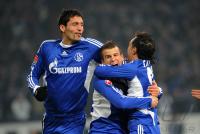 FUSSBALL, 1. BUNDESLIGA, 20. Spieltag: Schalke - Hoffenheim