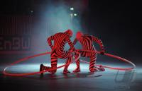 Turn Gala  Paul Horn Arena 2009