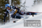 SKI   Weltcup  Abfahrt Herren ; Hannes Trinkl (GER)