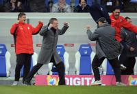 FUSSBALL 1. Bundesliga  TSG 1899 Hoffenheim -  Energie Cottbus