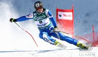 Ski Alpin  Herren Abfahrt Wengen