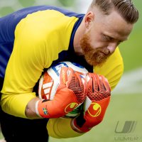Fussball WM 2026 Vorrunde: Holland - Schweden