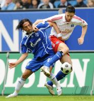 Fussball 1. Bundesliga: Hamburg - Schalke