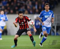 Fussball 1. Bundesliga Saison 14/15: TSG 1899 Hoffenheim - Eintracht Frankfurt